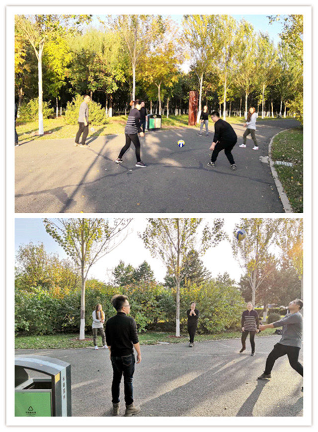 1539943504889090.jpg 20181013排球.jpg